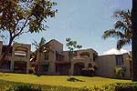 Wailea Makena Surf real estate, Palms at Wailea, Wailea Kai 